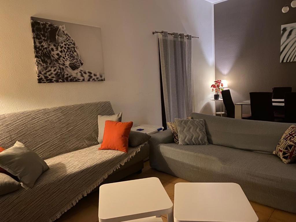 라 올리바 Casa Morani 빌라 외부 사진